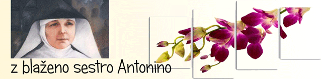 antonina_reflections2014